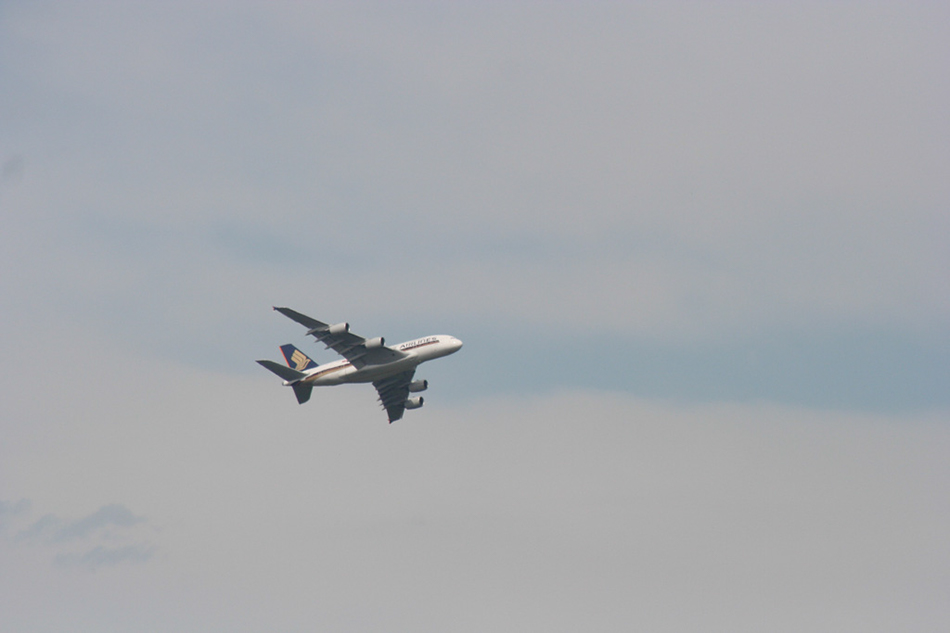 %_tempFileNameIMG_0986%