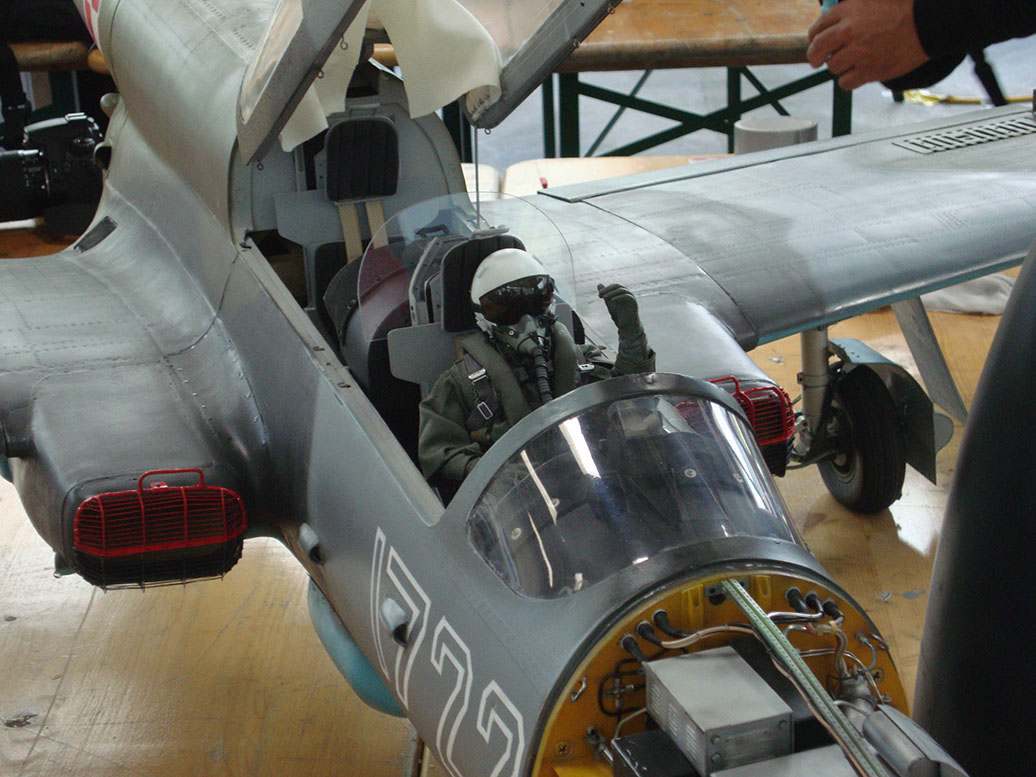 %_tempFileNameDSC02993%