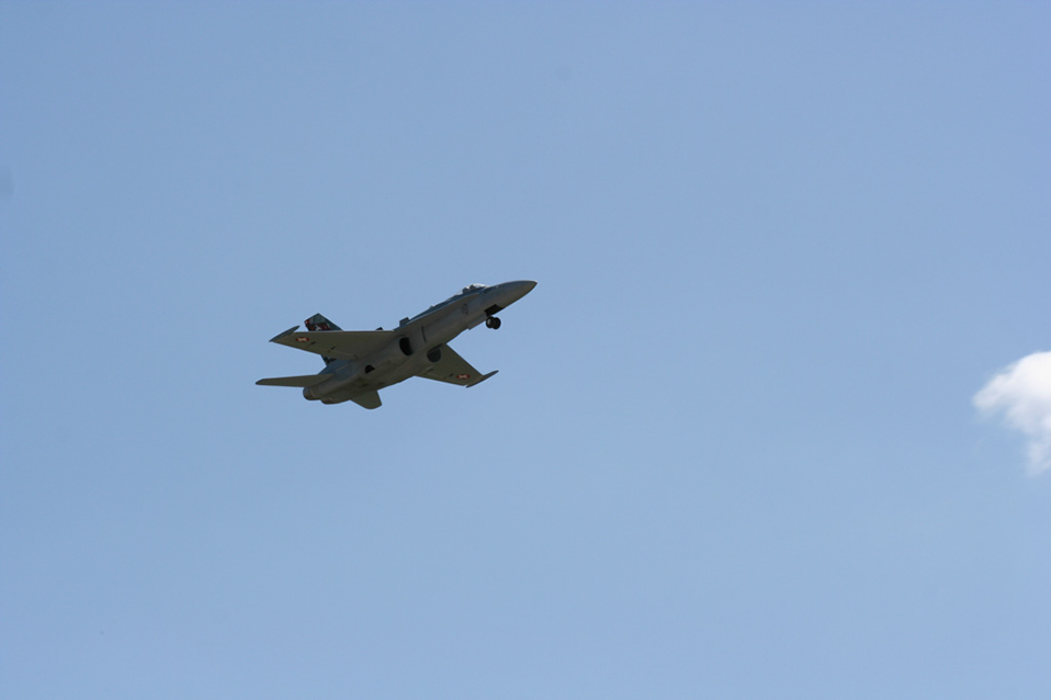 %_tempFileNameIMG_6831%